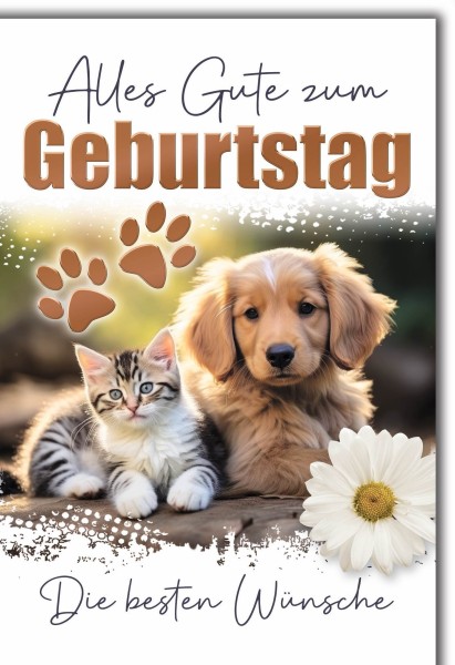 Geburtstag - Katze und Hund