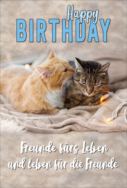 Geburtstag - Katzen