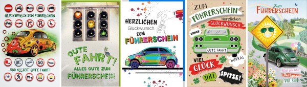 Online Serie Führerschein