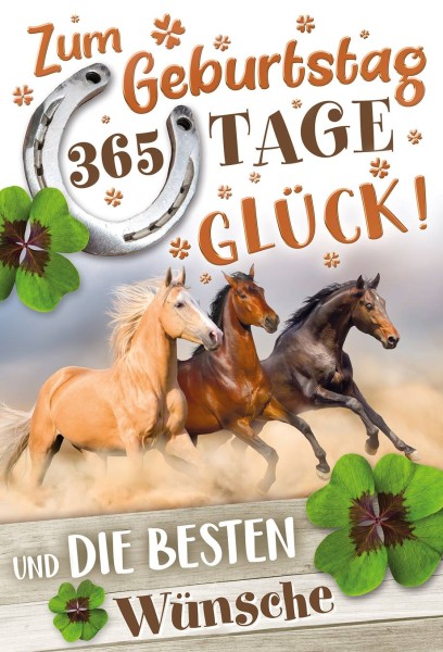 Geburtstag - Pferd