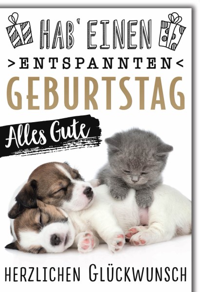 Geburtstag - Katze und Hund