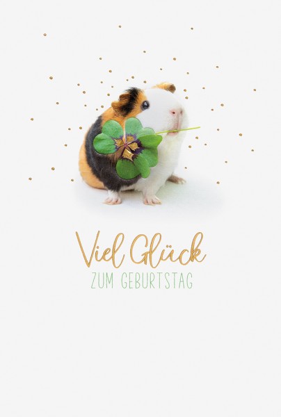 Geburtstag - Nature - Plastikfrei