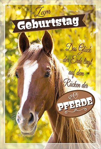 Geburtstag - Pferd